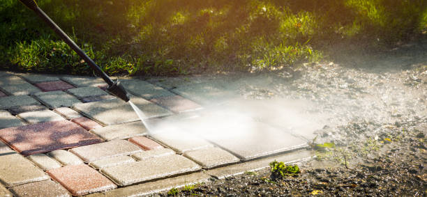Best Animal Enclosure Cleaning  in Garrettsville, OH